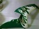 2006-2007 Honda CBR1000RR Motorcycle Fairings - White Green Flame Canada Suppliers