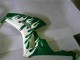 2006-2007 Honda CBR1000RR Motorcycle Fairings - White Green Flame Canada Suppliers