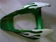 2006-2007 Honda CBR1000RR Motorcycle Fairings - White Green Flame Canada Suppliers