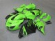 2006-2011 Kawasaki ZX14R ZZR1400 Motorcycle Fairing - Green Glossy Black Canada Suppliers