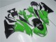 2009-2012 Kawasaki ZX6R Motorcycle Fairing Kits - Green Glossy Black Canada Suppliers