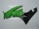 2009-2012 Kawasaki ZX6R Motorcycle Fairing Kits - Green Glossy Black Canada Suppliers