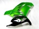 2012-2024 Kawasaki ZX14R ZZR1400 Motorcycle Fairing - Green Glossy Black Canada Suppliers