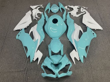 2019-2022 Kawasaki ZX6R Motorcycle Fairings - White Aqua Blue Canada Suppliers