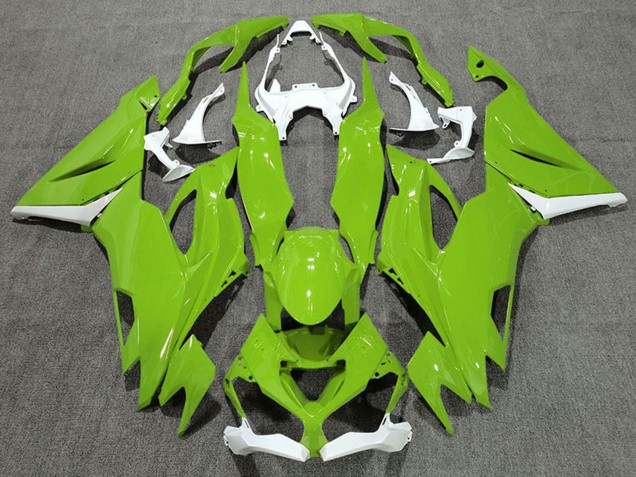 2019-2022 Kawasaki ZX6R Motorcycle Fairings - White Green Canada Suppliers