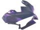 2024-2025 Kawasaki Ninja 500 EX500R Motorcycle Fairings - Chameleon Grey Dazz Pearl Purple Canada Suppliers