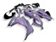 2013-2024 Kawasaki EX300 Motorcycle Fairings - Chameleon Grey Dazz Pearl Purple Canada Suppliers
