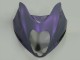 1996-2007 Suzuki GSXR 1300 Hayabusa Motorcycle Fairings - Chameleon Grey Dazz Pearl Purple Canada Suppliers