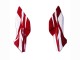 2022 Honda CBR400R Motorcycle Fairing - White Red Blue Canada Suppliers