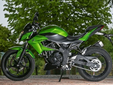 2015-2016 Kawasaki Z250/Z300 Motorcycle Fairings - Green Matte Black Canada Suppliers