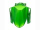 2022-2025 Kawasaki Versys 650 Motorcycle Fairings - Green Glossy Black Canada Suppliers