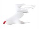2020-2024 Ducati Panigale V2 Motorcycle Fairings - White Red Matte Black Canada Suppliers