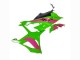 2023-2024 BMW S1000RR Motorcycle Fairings - Pink Green Black Canada Suppliers