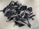 2023-2024 BMW S1000RR Motorcycle Fairings - Glossy Black Carbon Fiber Canada Suppliers