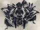 2023-2024 BMW S1000RR Motorcycle Fairings - Glossy Black Carbon Fiber Canada Suppliers