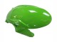 2023-2025 Kawasaki ZX6R Motorcycle Fairings - Green Black Canada Suppliers