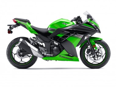 2013-2024 Kawasaki EX300 Motorcycle Fairing - Green Black Canada Suppliers