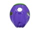 2006-2011 Aprilia RS125 Motorcycle Fairings - Purple Green Red Canada Suppliers
