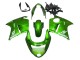 1996-2007 Honda CBR1100XX Blackbird Motorcycle Fairing - Green Canada Suppliers