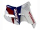 1992-1993 Honda CBR900RR 893 Motorcycle Fairings - White Red Dark Blue Canada Suppliers