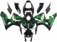 2005-2006 Honda CBR600RR Motorcycle Fairings - Glossy Black Green Flame Canada Suppliers
