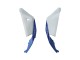 2021-2025 Kawasaki ZX10R Motorcycle Fairings - White Green Blue Black Canada Suppliers