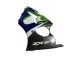 1998-1999 Kawasaki ZX6R Motorcycle Fairings - Green White Blue Silver Glossy Black Canada Suppliers