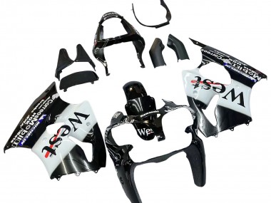 2000-2002 Kawasaki ZX6R Motorcycle Fairings - Glossy Black White West Michelin Canada Suppliers