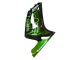 2003-2004 Kawasaki ZX6R Motorcycle Fairings - Glossy Black Green Flame Canada Suppliers
