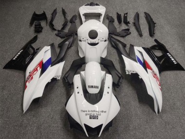 2019-2021 Yamaha YZF R3/R25 Motorcycle Fairings - White Red Blue Black Carbon Fiber 1919 Canada Suppliers