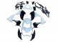 2013-2018 Kawasaki Z800 Motorcycle Fairings - White Glossy Black Green Canada Suppliers