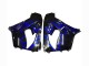 2000-2001 Kawasaki ZX9R Motorcycle Fairings - Glossy Black Blue Flame White Canada Suppliers