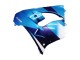 2000-2001 Kawasaki ZX9R Motorcycle Fairings - Blue Black Canada Suppliers