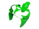 2000-2001 Kawasaki ZX9R Motorcycle Fairings - Green Canada Suppliers
