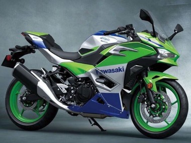 2024-2025 Kawasaki Ninja 500 EX500R Motorcycle Fairings - Silver Green Blue Canada Suppliers