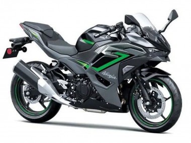 2024-2025 Kawasaki Ninja 500 EX500R Motorcycle Fairings - Black Grey Green Canada Suppliers