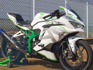2019-2025 Kawasaki ZX25R ZX-25R Motorcycle Fairings - White Silver Green Canada Suppliers