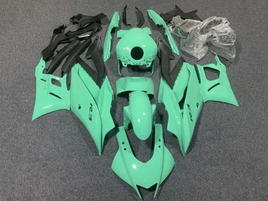 2019-2021 Yamaha YZF R3/R25 Motorcycle Fairings - Light Green Canada Suppliers