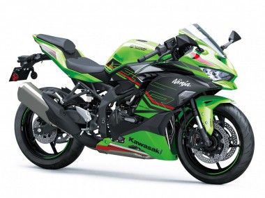 2019-2025 Kawasaki ZX4R ZX-4RR Motorcycle Fairings - Green Black Red White Canada Suppliers