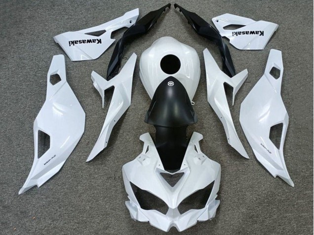 2019-2025 Kawasaki ZX4R ZX-4RR Motorcycle Fairings - White Matte Black Canada Suppliers